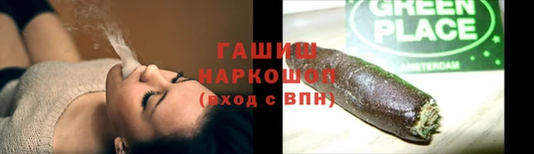 сатива Покачи