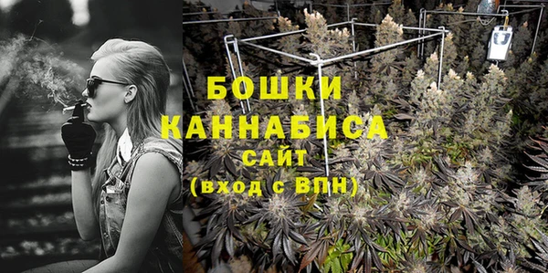 ПСИЛОЦИБИНОВЫЕ ГРИБЫ Покров