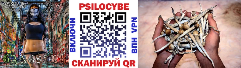 наркотики Куровское Галлюциногенные грибы Cubensis